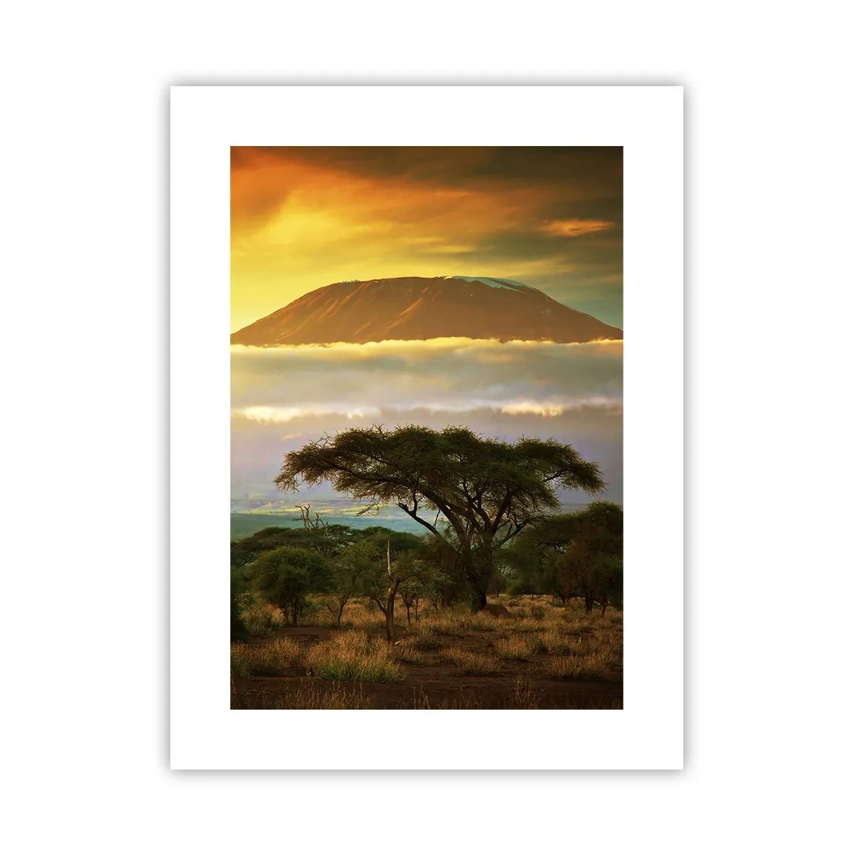 Plakat - En rejsendes drøm - 30x40 cm