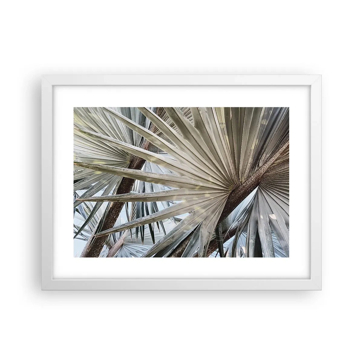 Plakat i hvid ramme - Ventilatorer i troperne - 40x30 cm