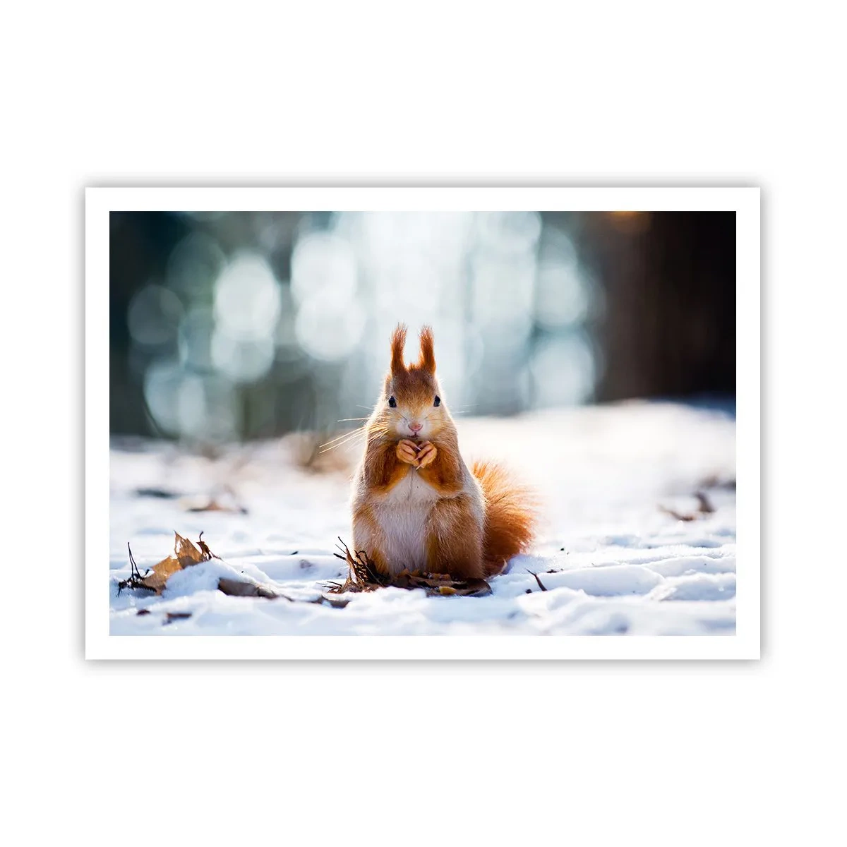 Plakat - Og hvad kigger du på? - 100x70 cm