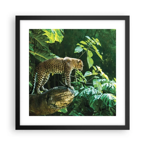 Plakat i sort ramme - Til jagt? - 40x40 cm