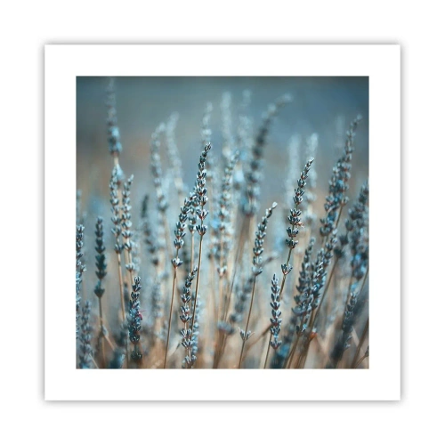 Plakat - Duftende plet - 40x40 cm