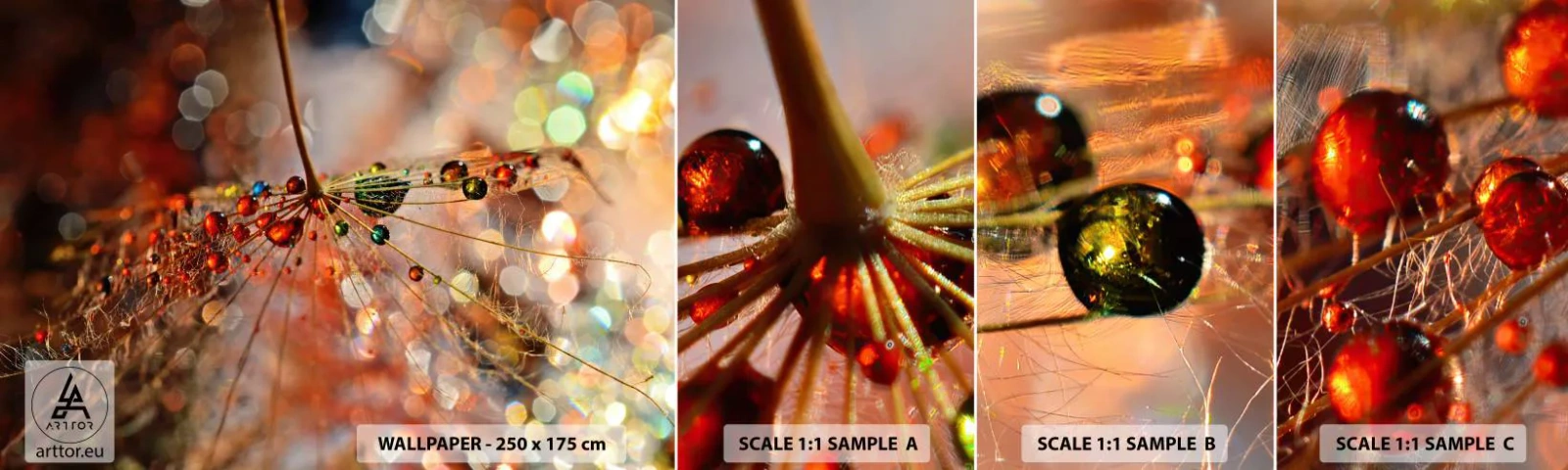 Prøve Fototapet Selvklæbende Deluxe Sticker - Trådet på et edderkoppespind - Abstraktion, edderkoppespind, Stykke - 100x30 cm