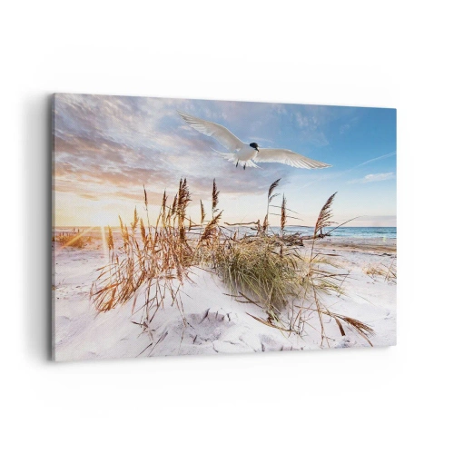 Lærredstryk - Billede på lærred - Vind fra havet - 100x70 cm