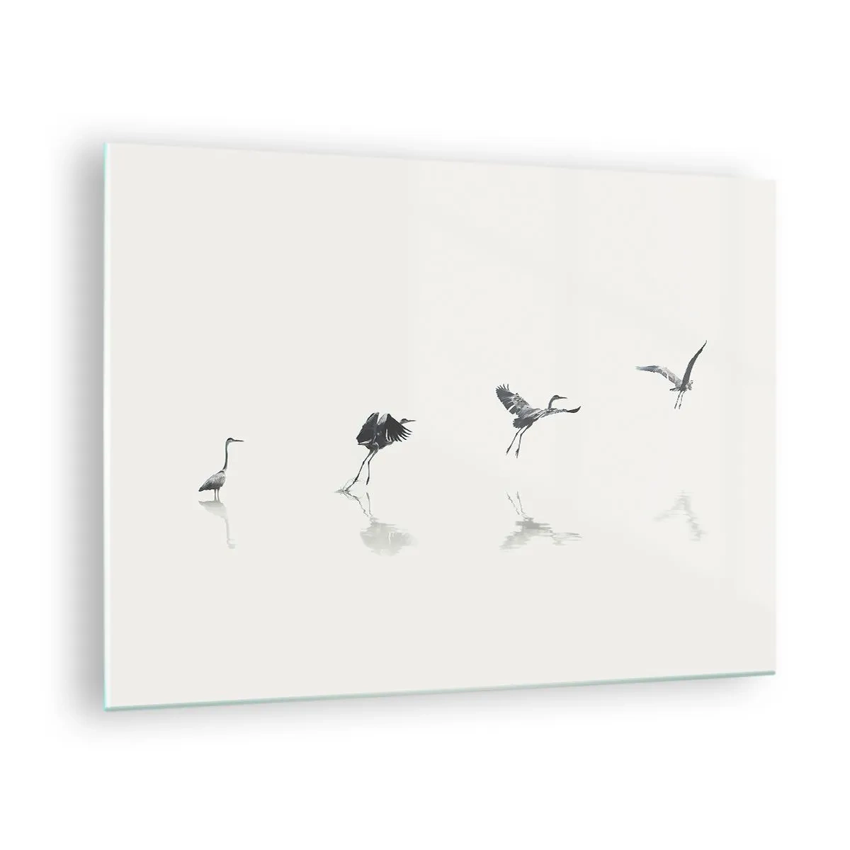 Billede på glas - Silhuetter af fire fugle, der bevæger sig over vandet - 70x50cm - Fire enkle trin - Moderne vægdekoration til stue og soveværelse ARTTOR