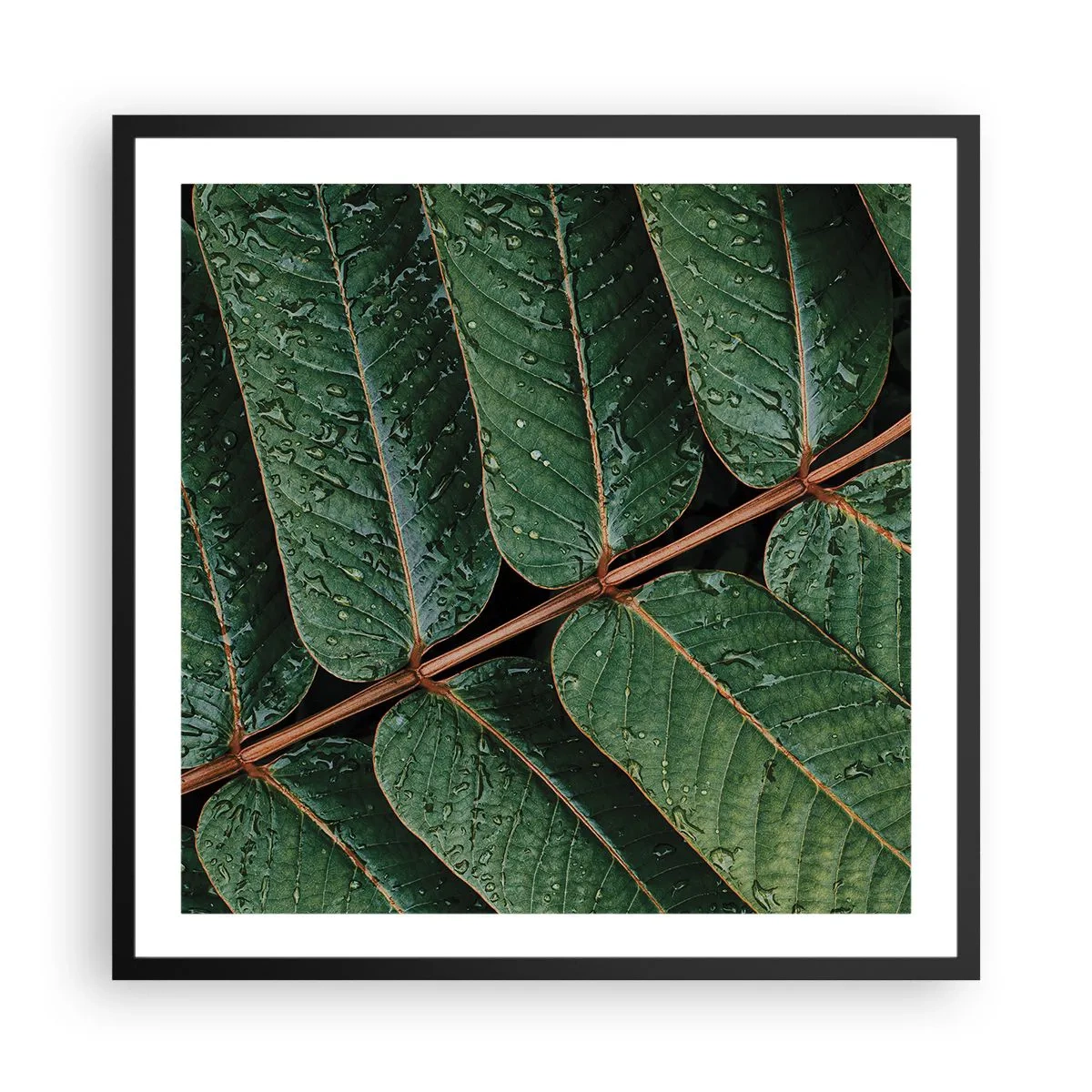 Plakat i sort ramme - I en grøn rytme - 60x60 cm
