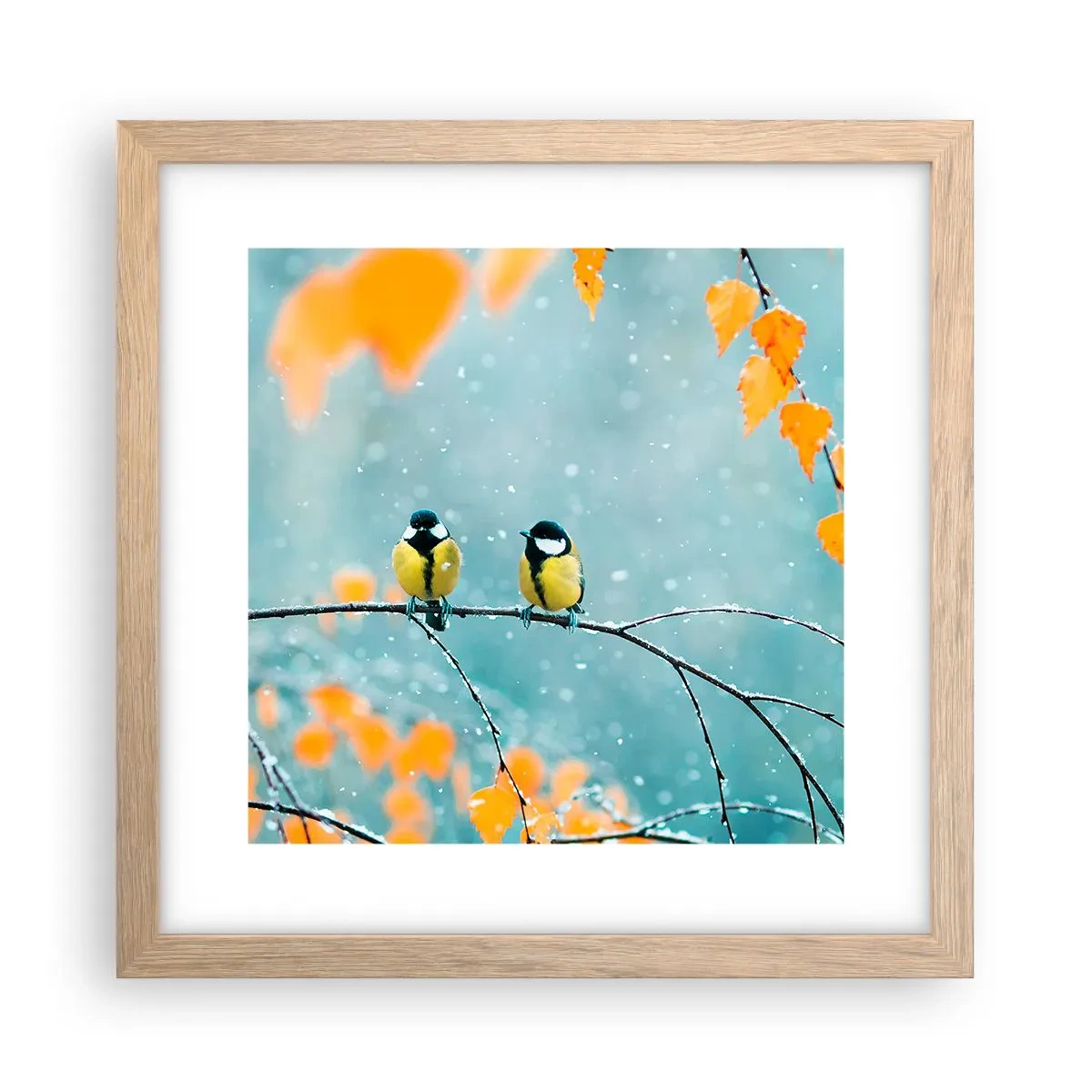 Plakat i ramme af lyst egetræ - Sladder om fugle - 30x30 cm
