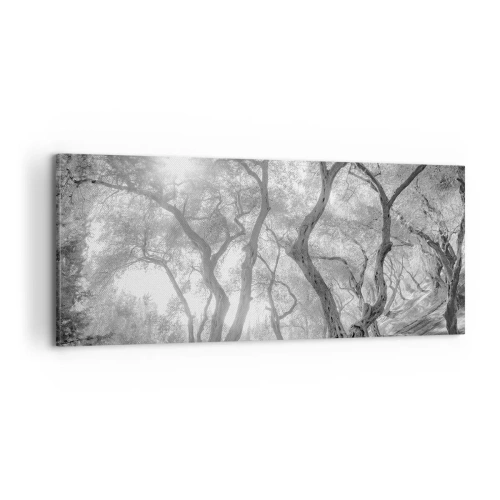 Lærredstryk - Billede på lærred - I en olivenlund - 100x40 cm