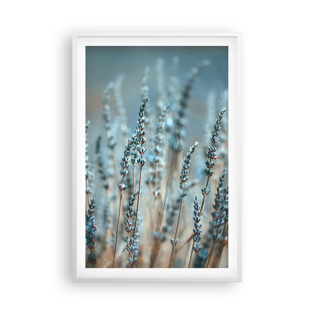 Plakat i hvid ramme - Duftende plet - 61x91 cm