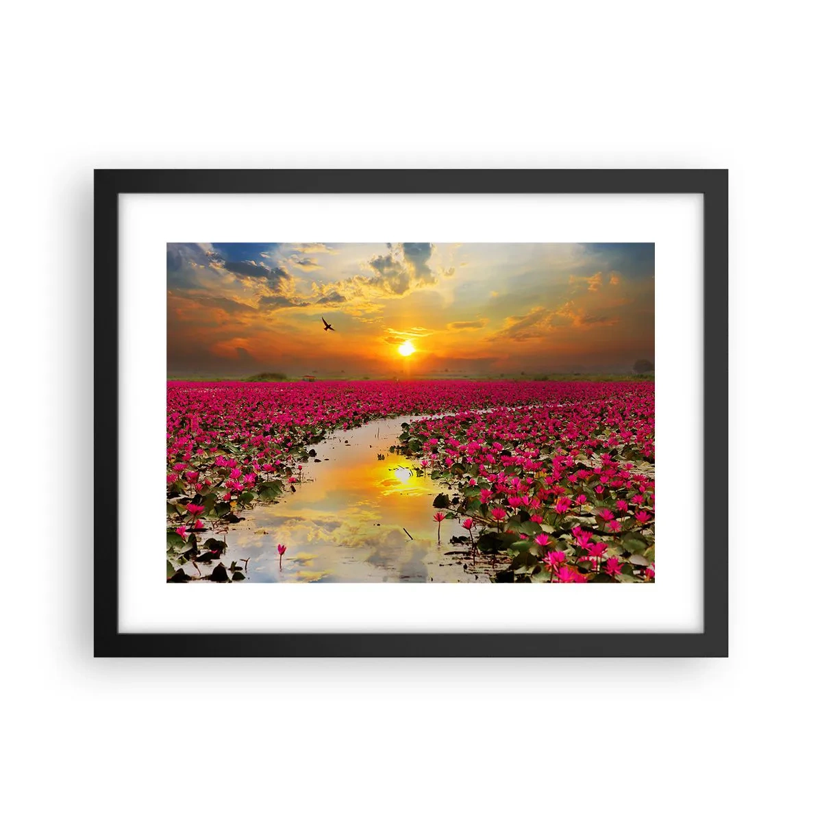 Plakat i sort ramme - Søens hemmelige liv - 40x30 cm