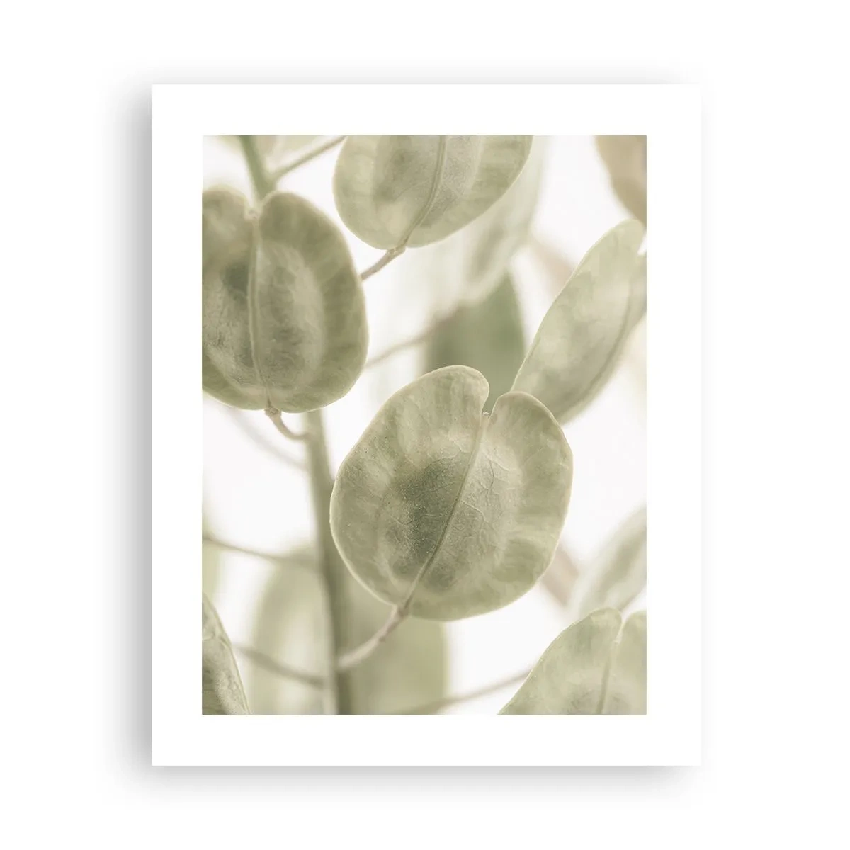 Plakat - I begyndelsen var der blade... - 40x50 cm