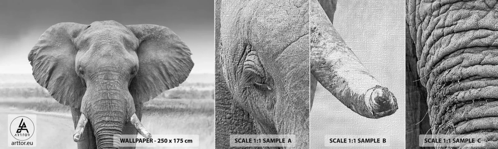 Prøve Fototapet Premium Canvas - Velkommen til min verden - Elefant, Afrika, Dyr - 100x30 cm