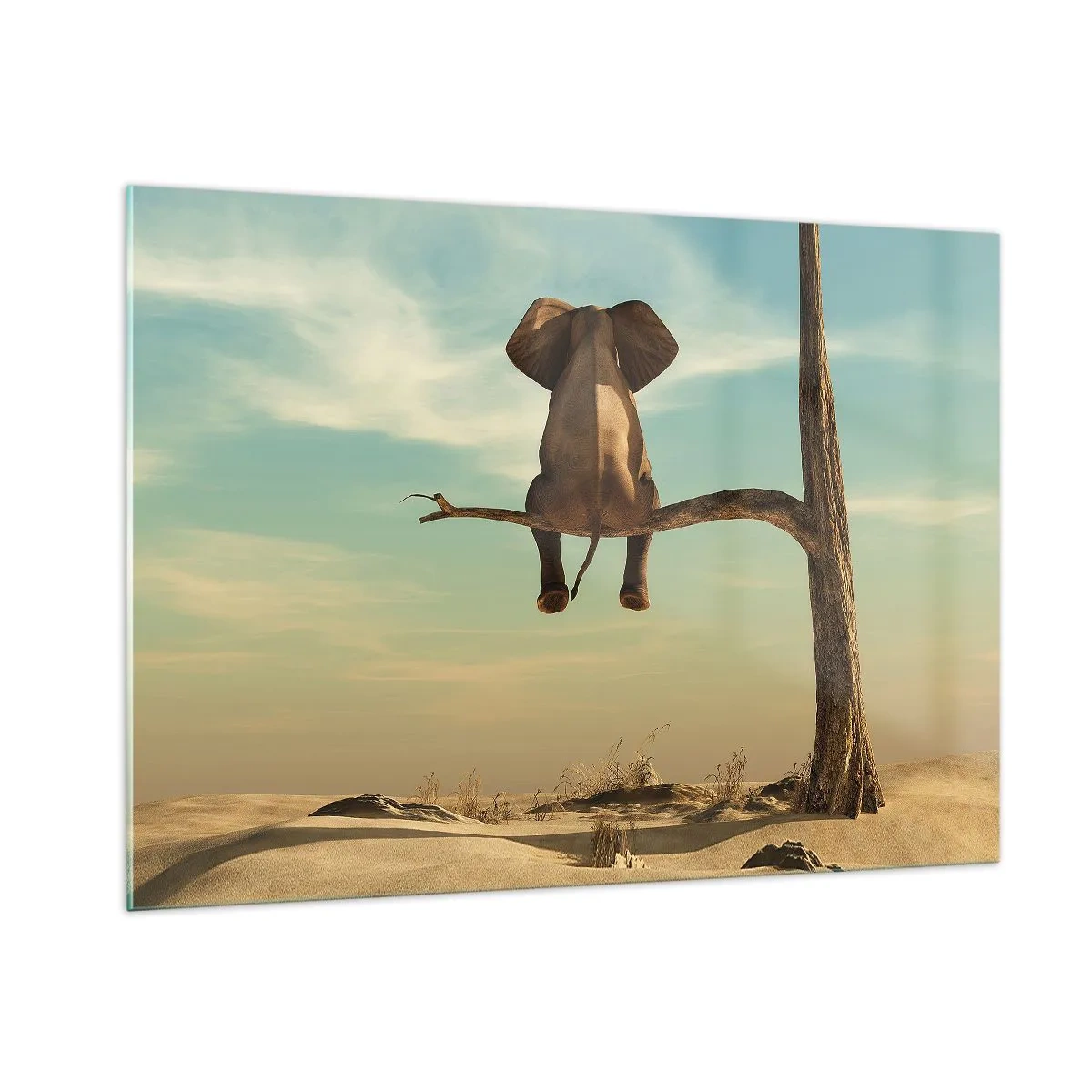 Billede på glas - Et nyt synspunkt - 100x70 cm