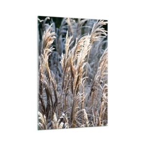 Billede på glas - Pyntet med frost - 70x100 cm