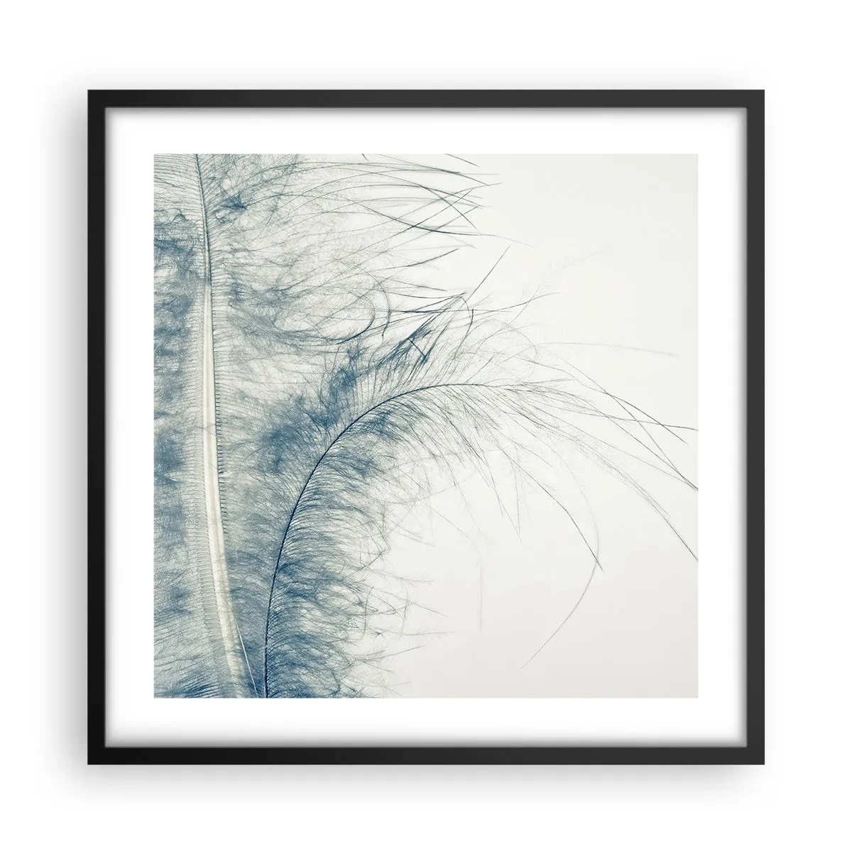 Plakat i sort ramme - Naturens hvisken - 50x50 cm