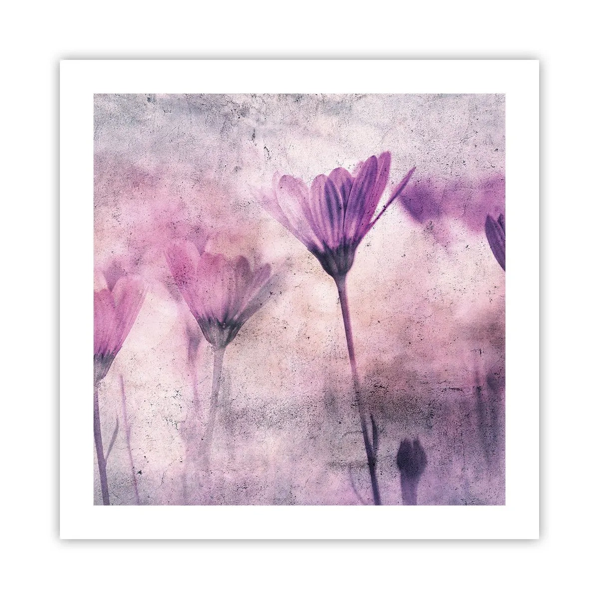 Plakat - En drøm af blomster - 50x50 cm