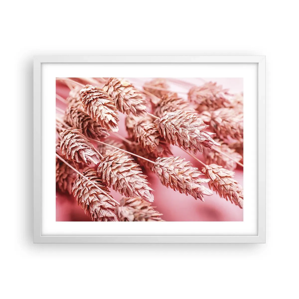 Plakat i hvid ramme - Blomsterkaskade i lyserødt - 50x40 cm