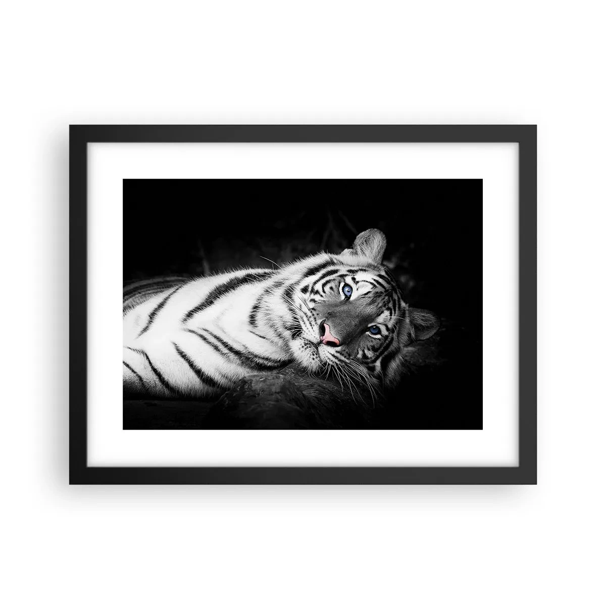 Plakat i sort ramme - Vildskab og fred - 40x30 cm