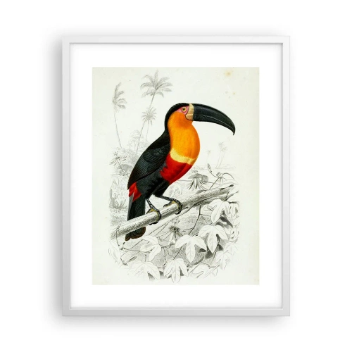 Plakat i hvid ramme - Fuglefarver - 40x50 cm