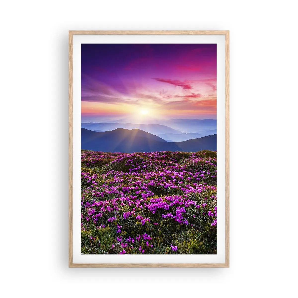 Plakat i ramme af lyst egetræ - Urter duftede friske bundter fra niw - 61x91 cm