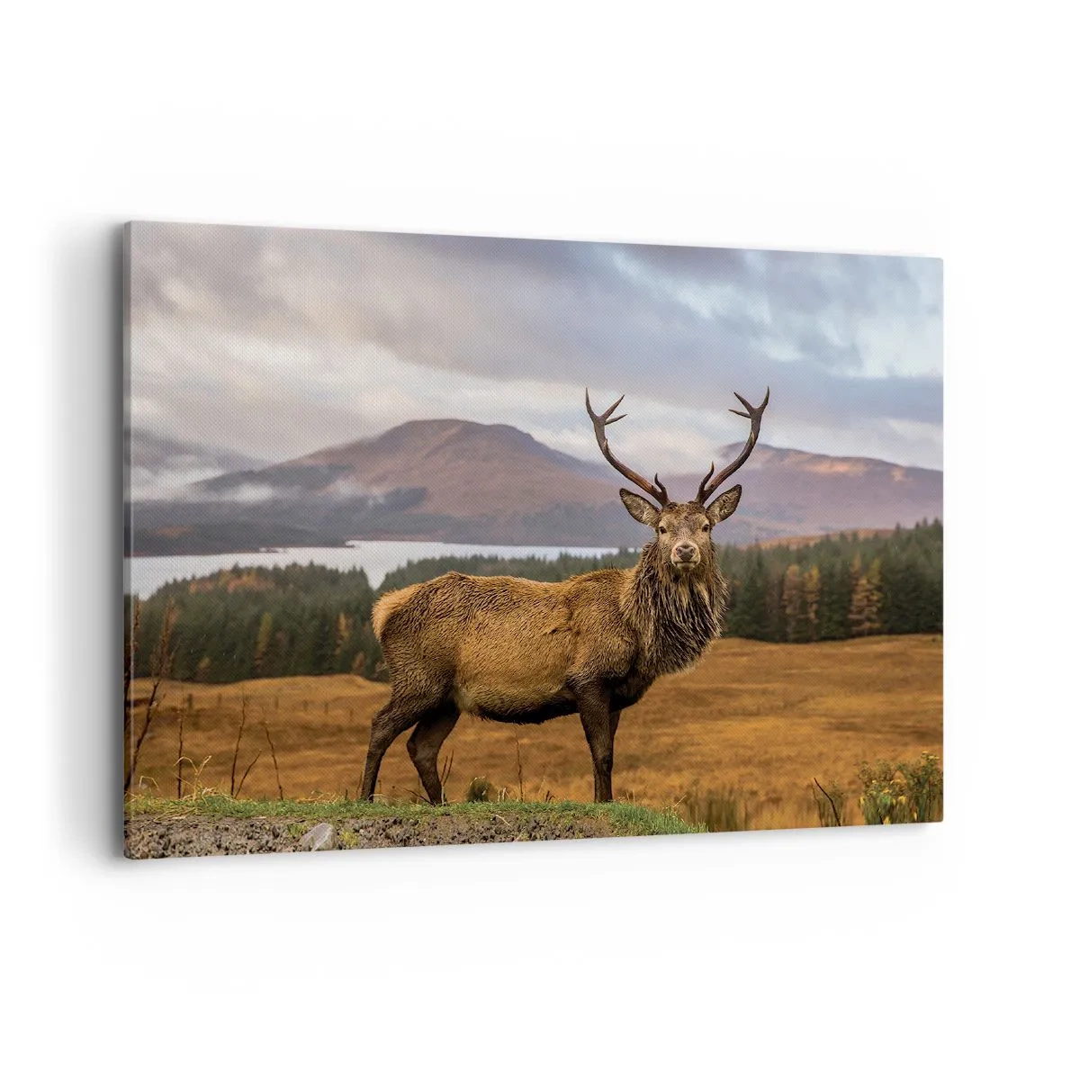 Lærredstryk - Billede på lærred - Naturens majestæt - 100x70 cm