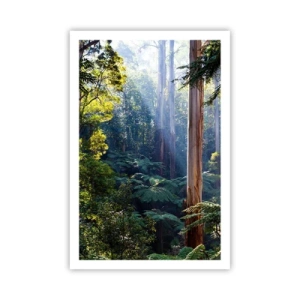 Plakat - En fortælling om skoven - 61x91 cm