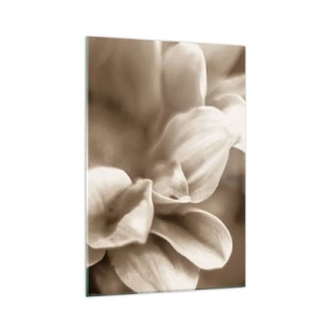 Billede på glas - Blid som et smil - 70x100 cm