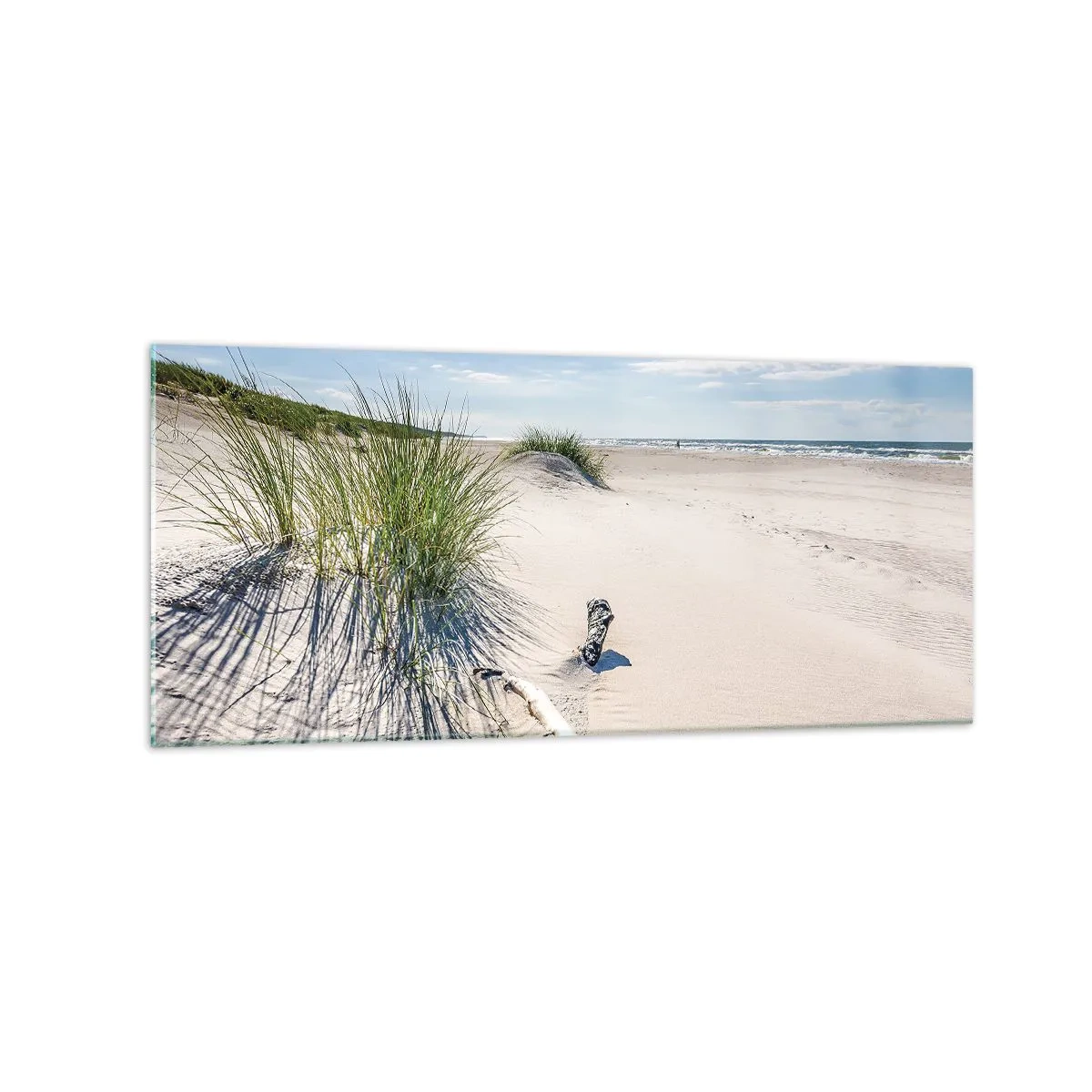 Billede på glas - Den smukkeste? Baltisk - 120x50 cm