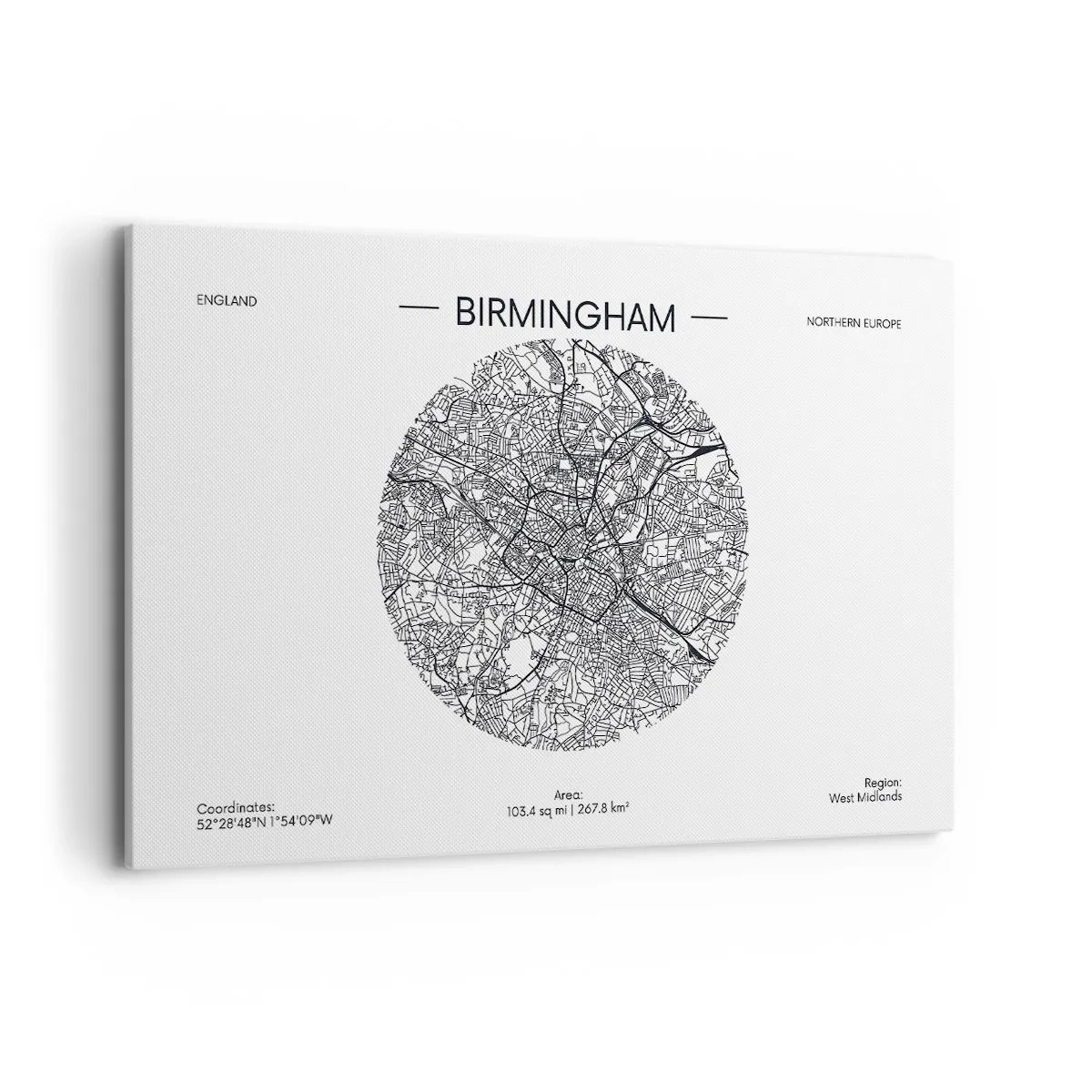 Lærredstryk - Billede på lærred - Birminghams anatomi - 120x80 cm