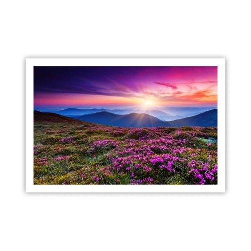 Plakat - Urter duftede friske bundter fra niw - 91x61 cm