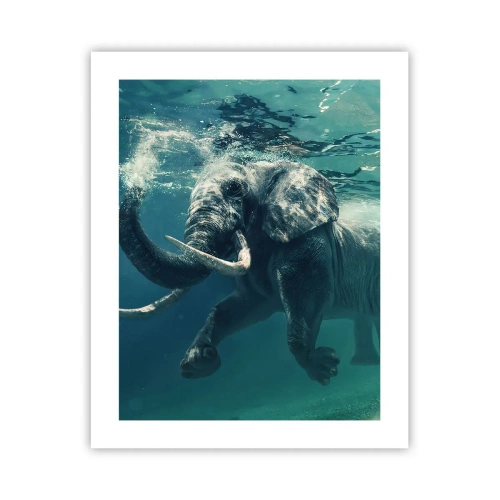 Plakat - Alle kan lide at svømme - 40x50 cm