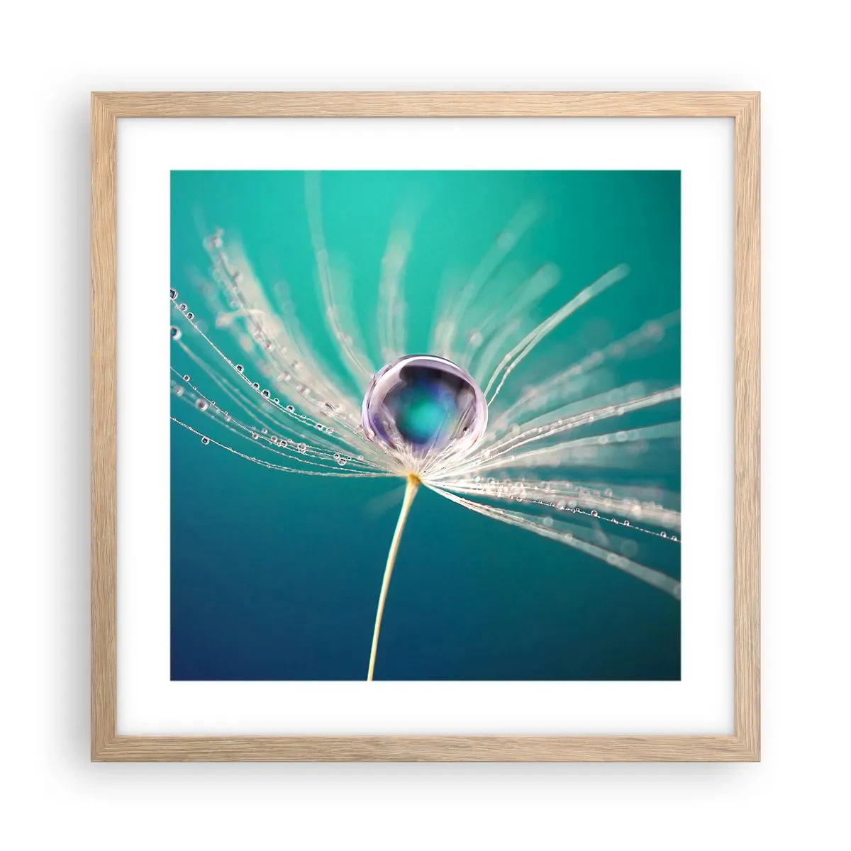 Plakat i ramme af lyst egetræ - Mystisk øjeblik - 40x40 cm