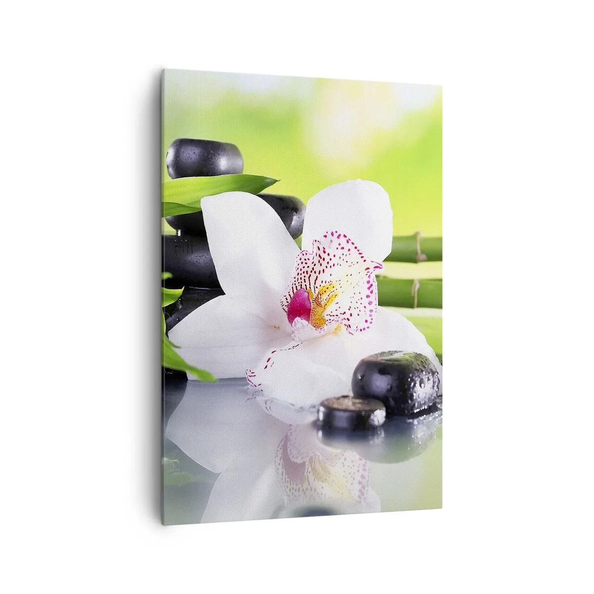 Lærredstryk - Billede på lærred - Kølig friskhed - 70x100 cm