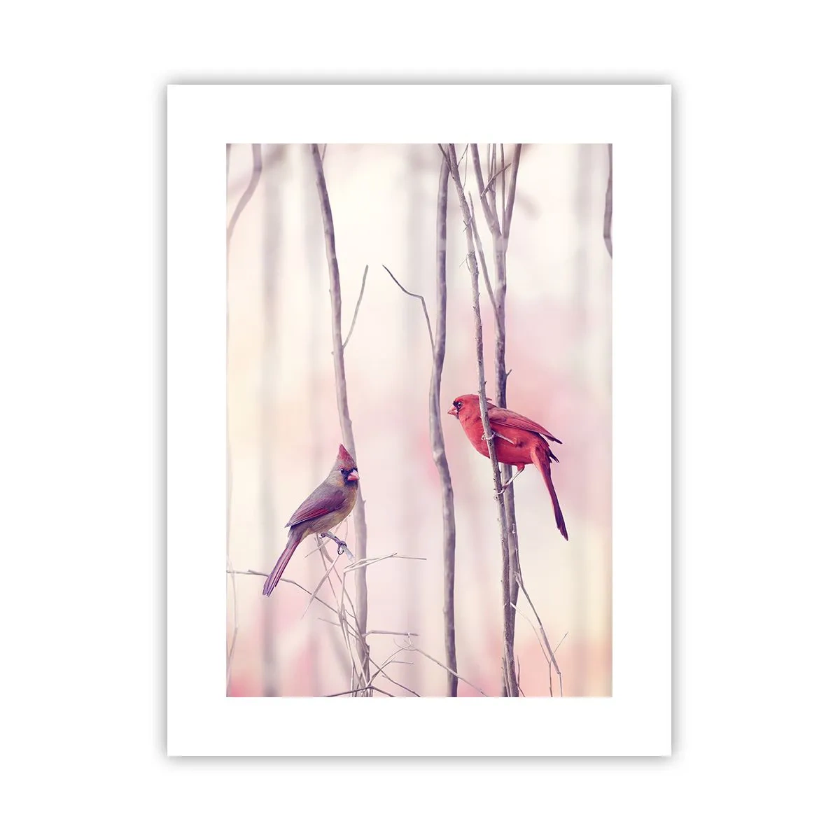 Plakat - Fortællingen om den lyserøde skov - 30x40 cm