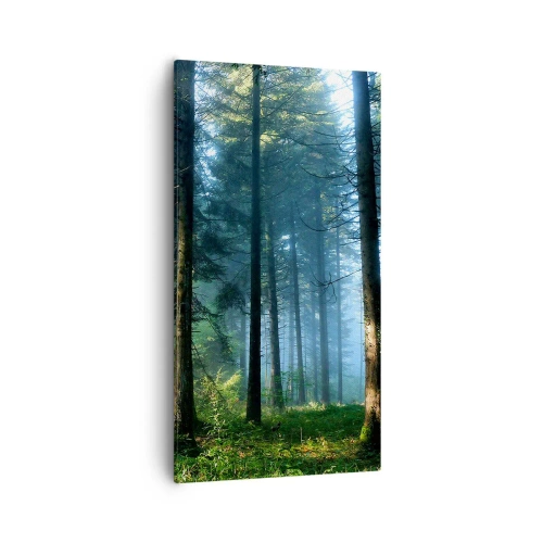 Lærredstryk - Billede på lærred - Strålende om morgenen - 55x100 cm