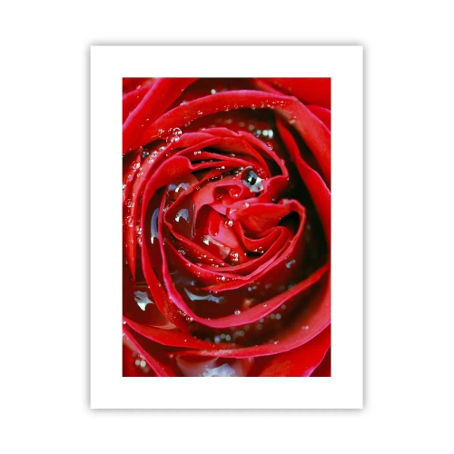 Plakat - I dråber af dug - 30x40 cm