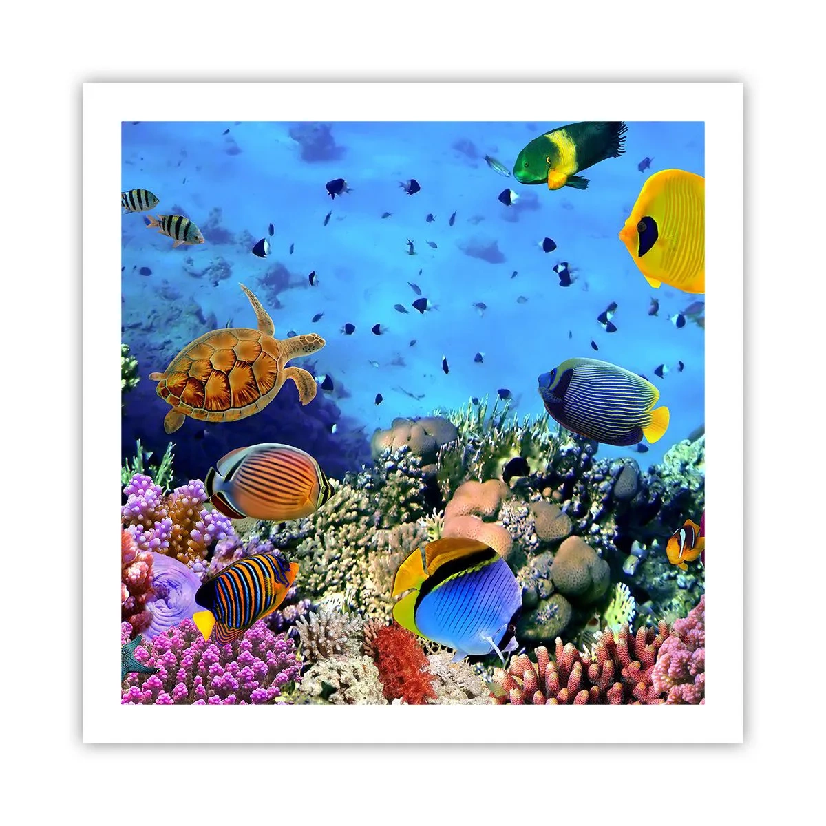 Plakat - Og hvad ved vi om livet... - 60x60 cm