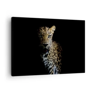 Lærredstryk - Billede på lærred - En leopard på en mørk baggrund med et intenst blik - 70x50cm - Mørk skønhed - Moderne vægdekoration til stue og soveværelse ARTTOR