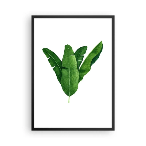 Plakat i sort ramme - Akvarel illustration af symmetrisk arrangerede bananblade på en hvid baggrund. - 50x70cm - Grøn symmetri - Moderne vægdekoration til stue og soveværelse ARTTOR