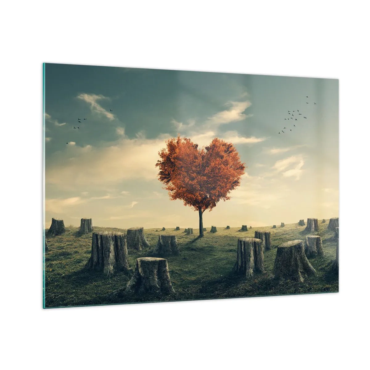 Billede på glas - Der er stadig håb - 100x70 cm