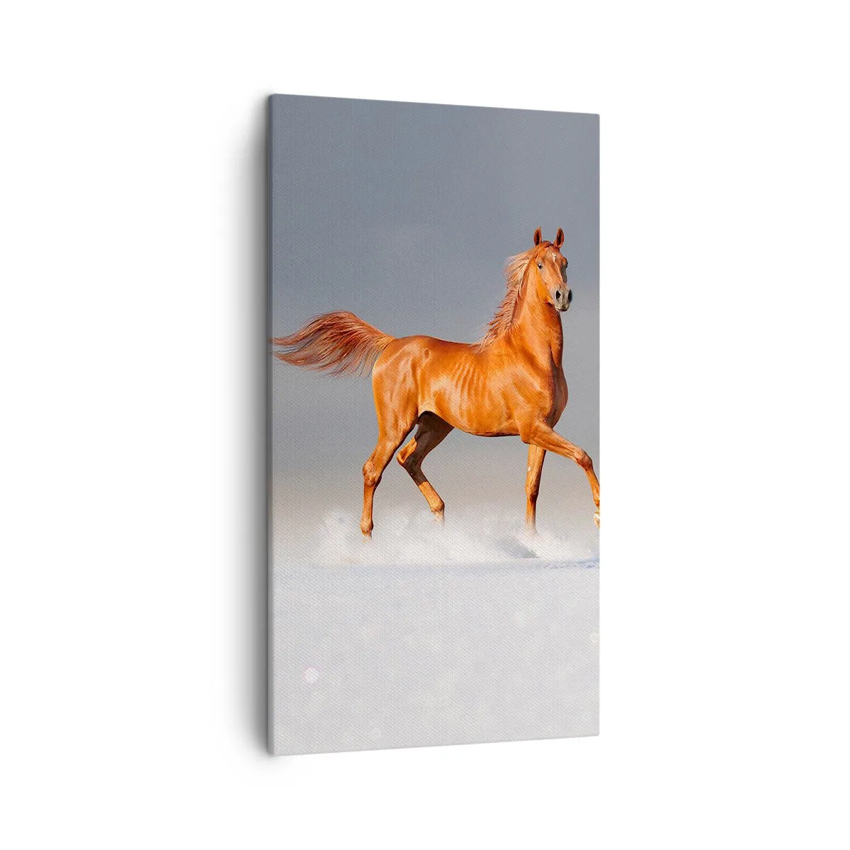 Lærredstryk - Billede på lærred - Dansende ynde - 45x80 cm