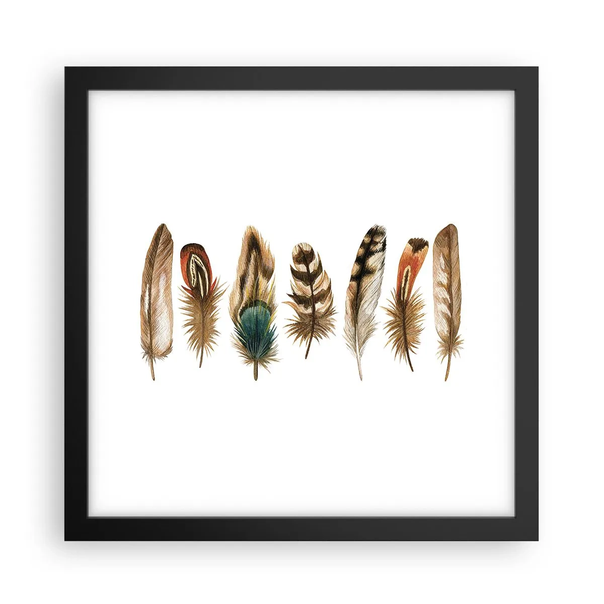 Plakat i sort ramme - Variation med fjer - 30x30 cm