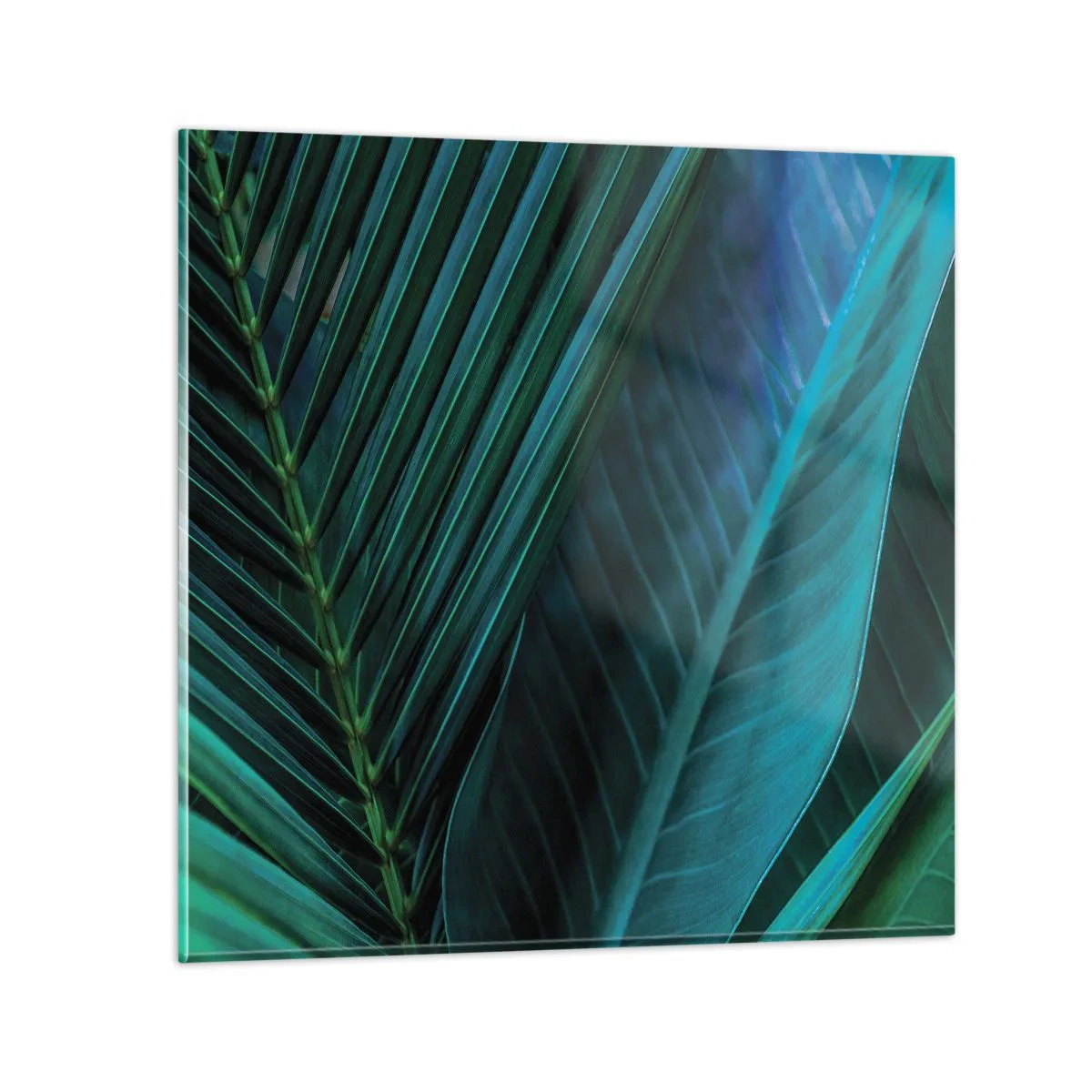 Billede på glas - Anatomi af en grøn - 30x30 cm