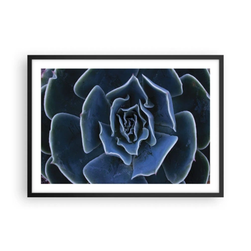Plakat i sort ramme - Ørkenblomst - 70x50 cm