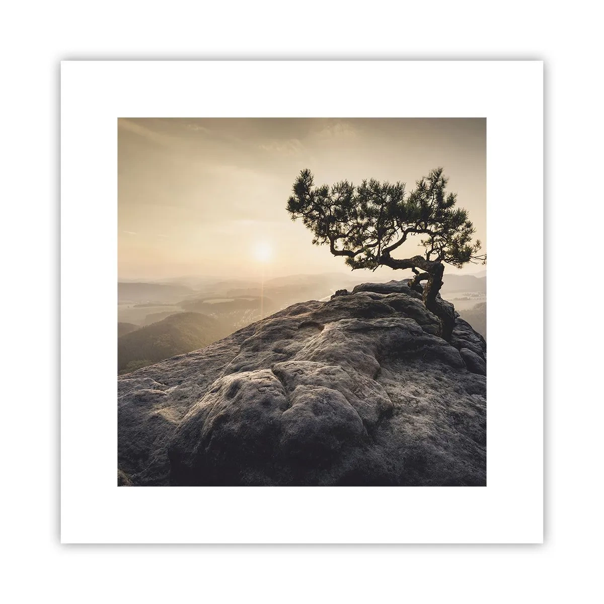 Plakat - Livet vinder altid - 30x30 cm