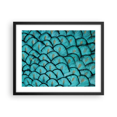 Plakat i sort ramme - Den store fjer-galla - 50x40 cm