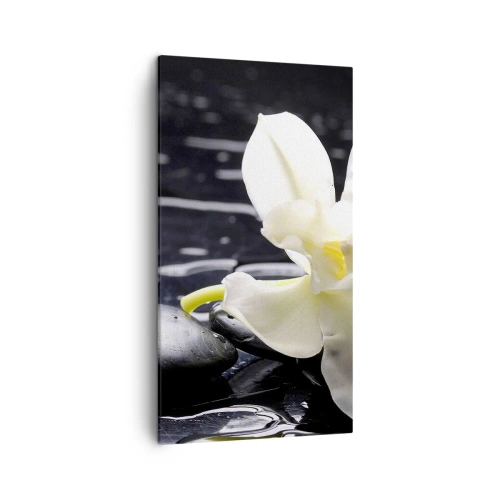 Lærredstryk - Billede på lærred - Studie i sort og hvidt - 45x80 cm