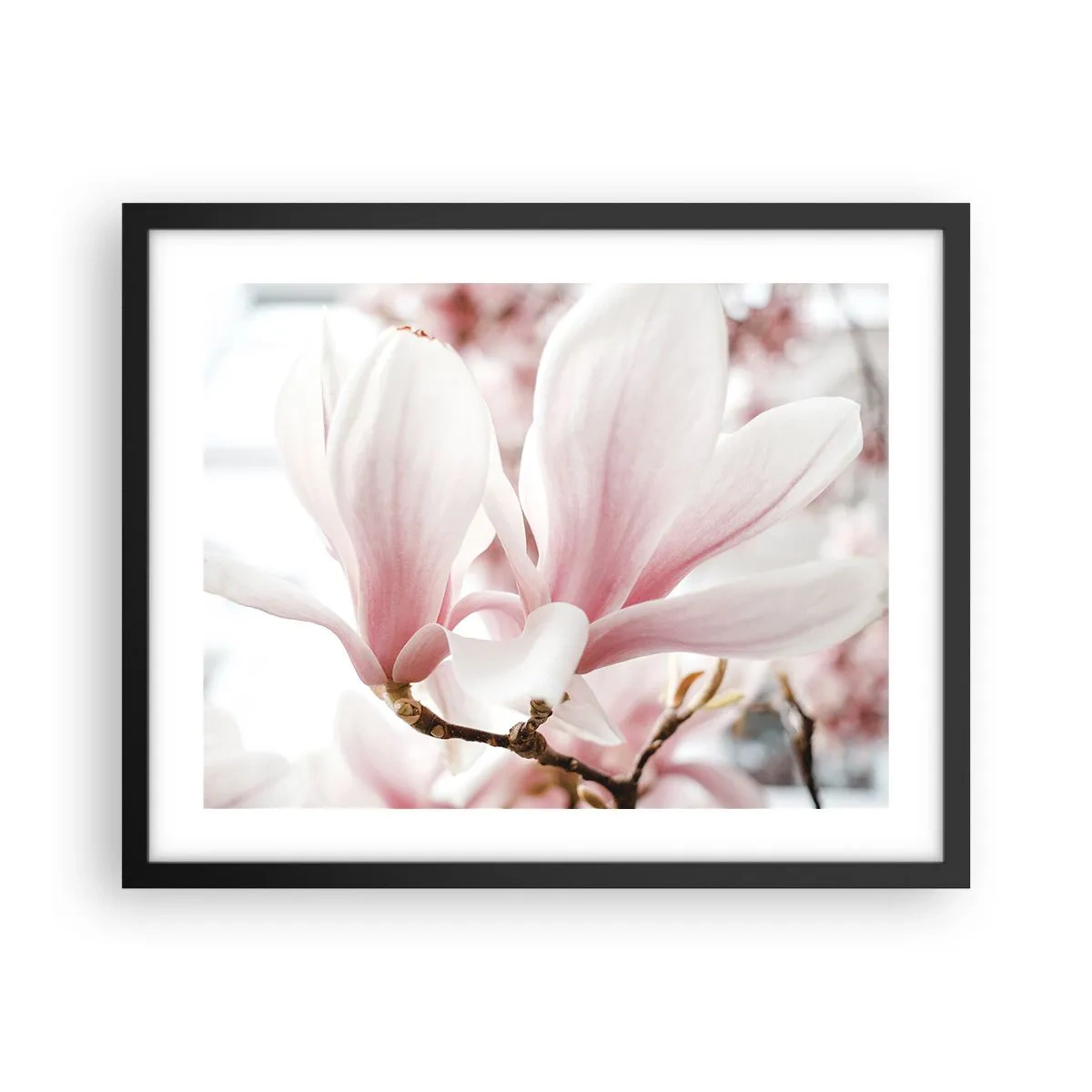 Plakat i sort ramme - Ømhedens umådelighed - 50x40 cm