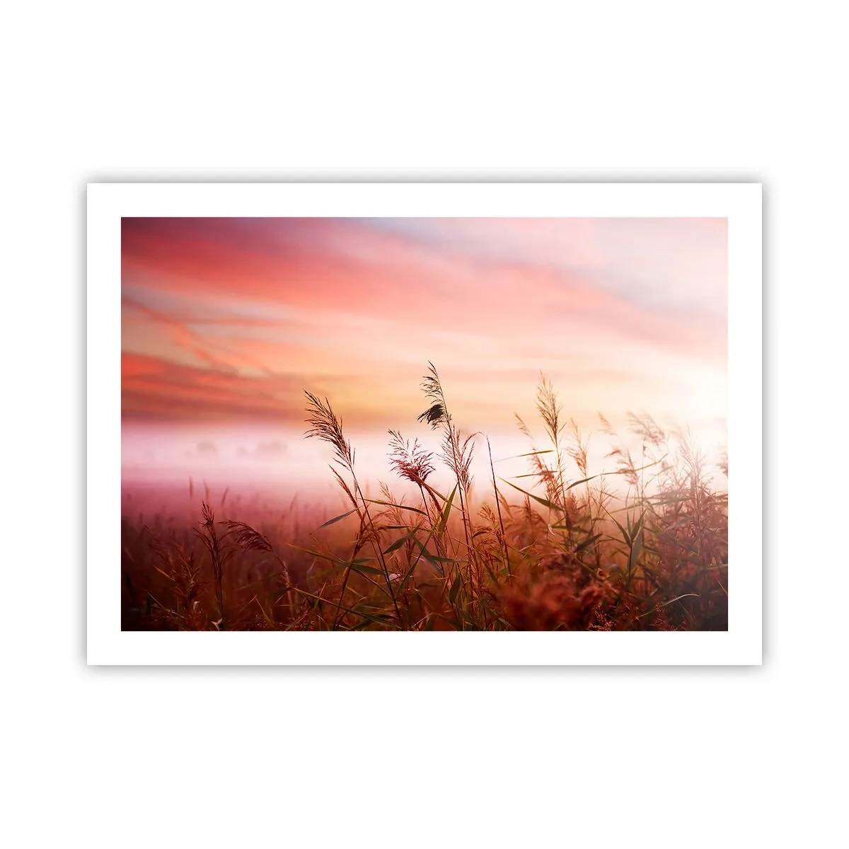 Plakat - Drager, blæsere, vind - 70x50 cm