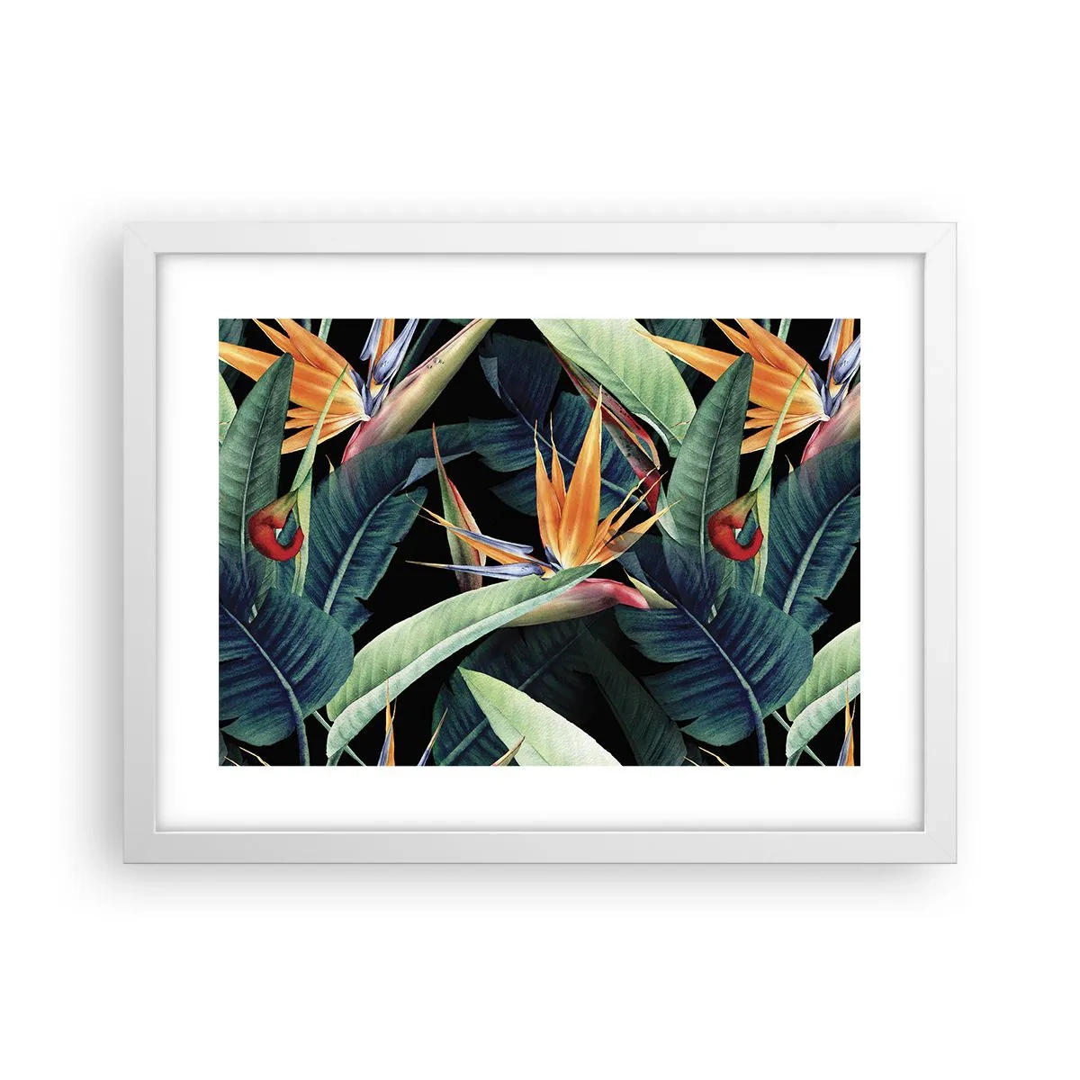 Plakat i hvid ramme - Flammeblomster i troperne - 40x30 cm