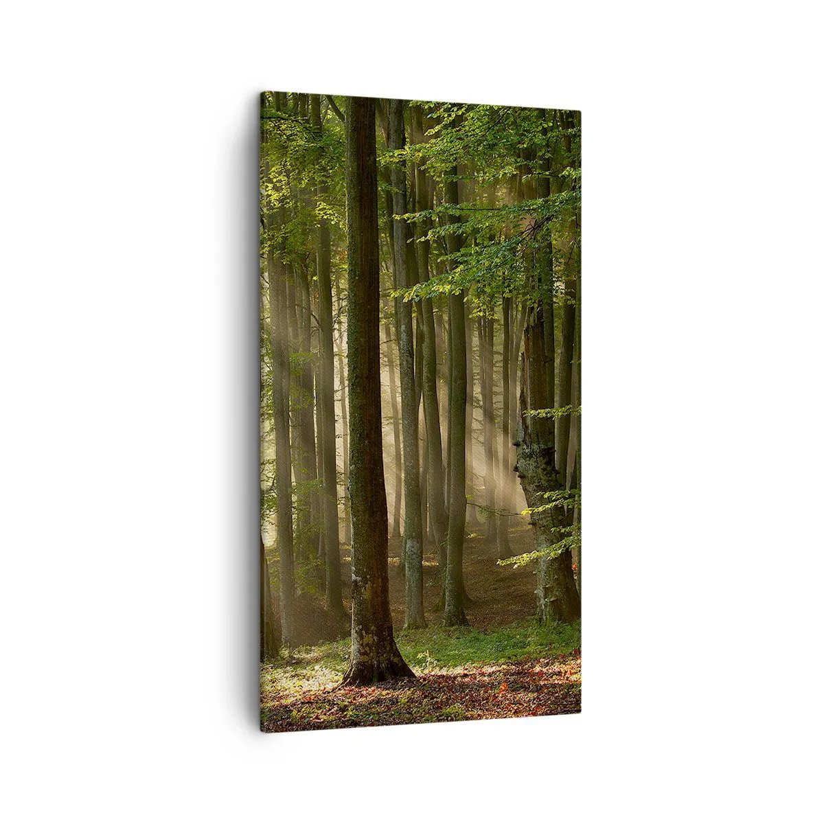 Lærredstryk - Billede på lærred - Strålende på en forårsmorgen - 45x80 cm